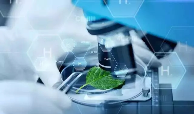 8b1fcb6db100c5bb.jpg 8b1fcb6db100c5bb.jpg